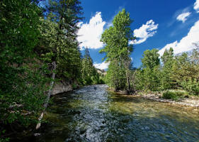 Wood River . . . .