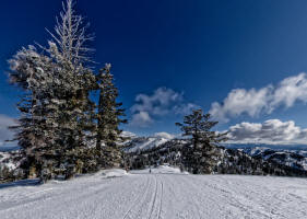 Bogus Basin . . . .